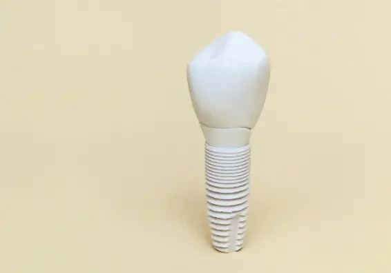 Zirconia Implants